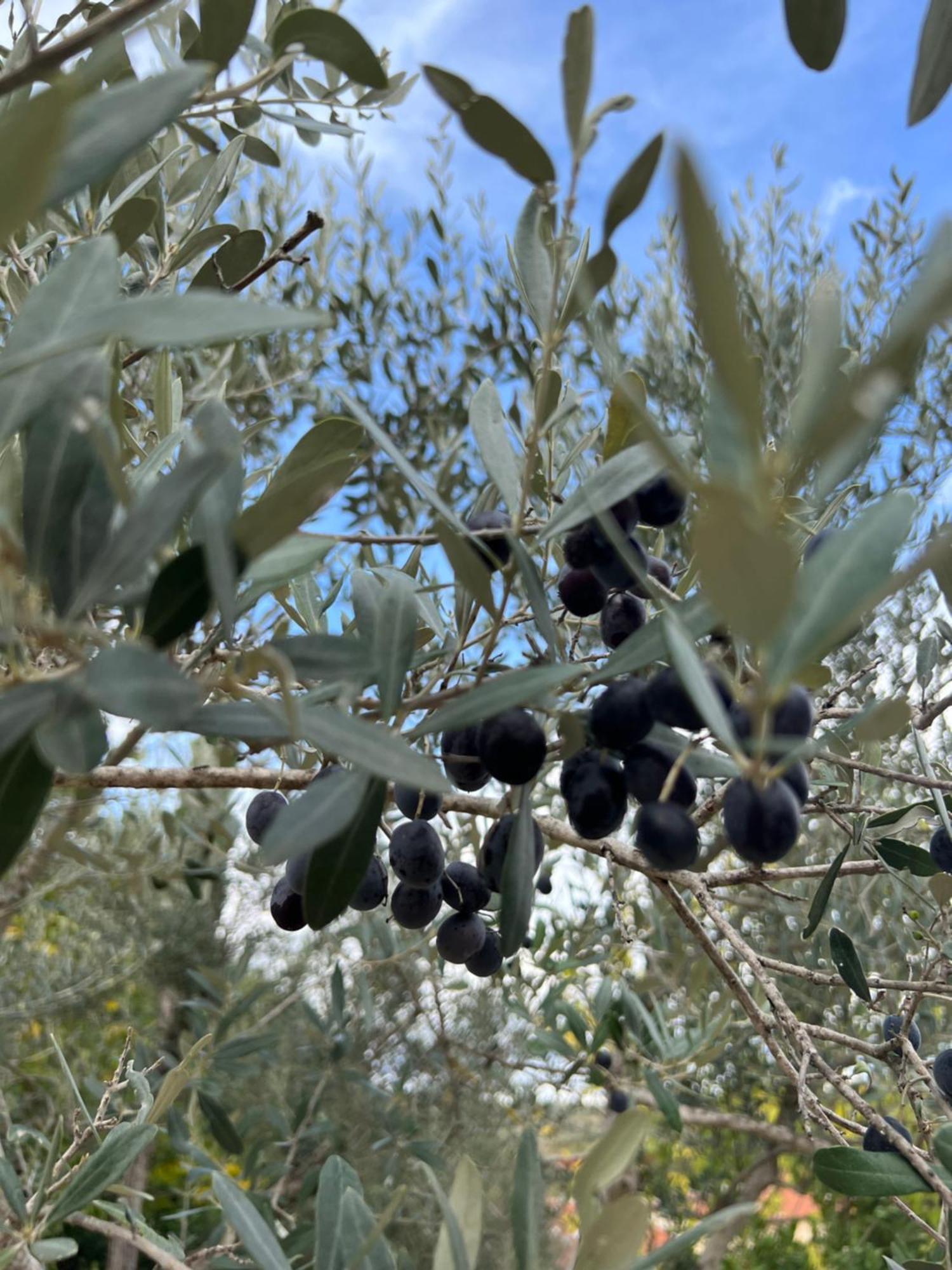Joy Home Antella Εξωτερικό φωτογραφία